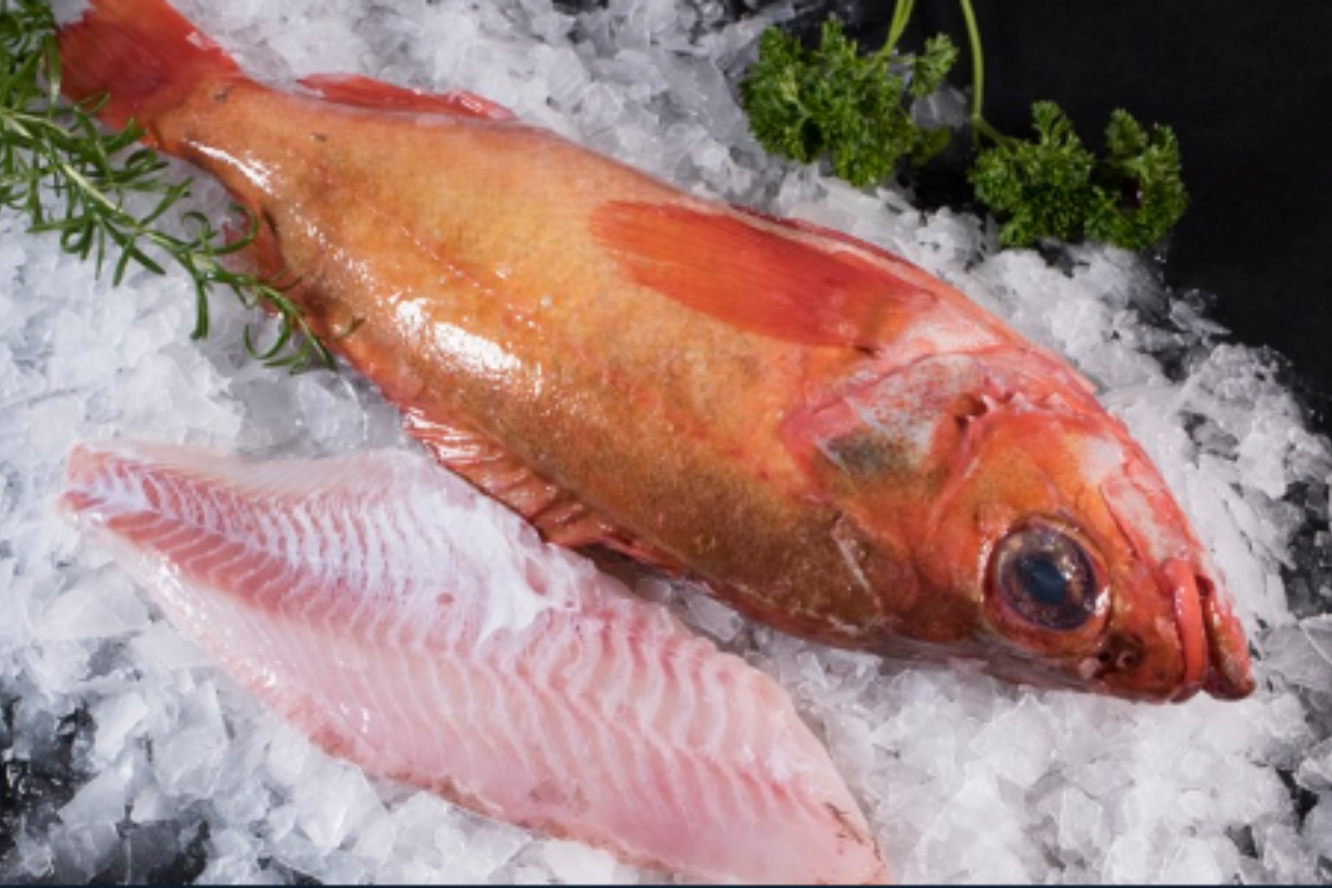 RasEcht Vis partner VNV2